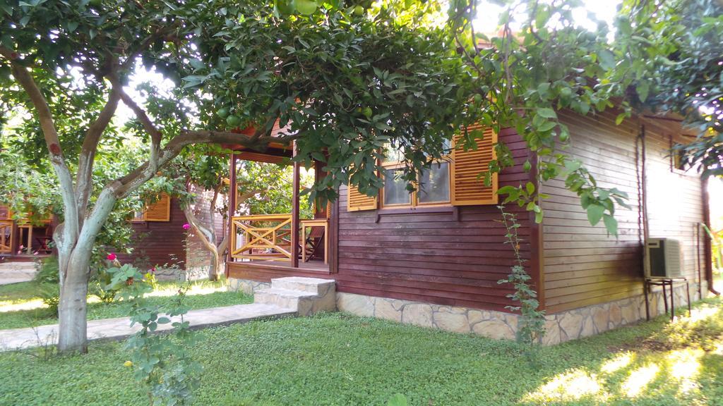 Bed and Breakfast Mercan Bungalow Çıralı Exterior foto