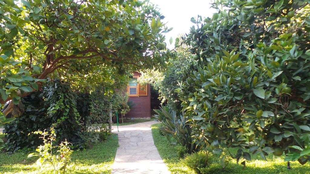 Mercan Bungalow Çıralı Exterior foto