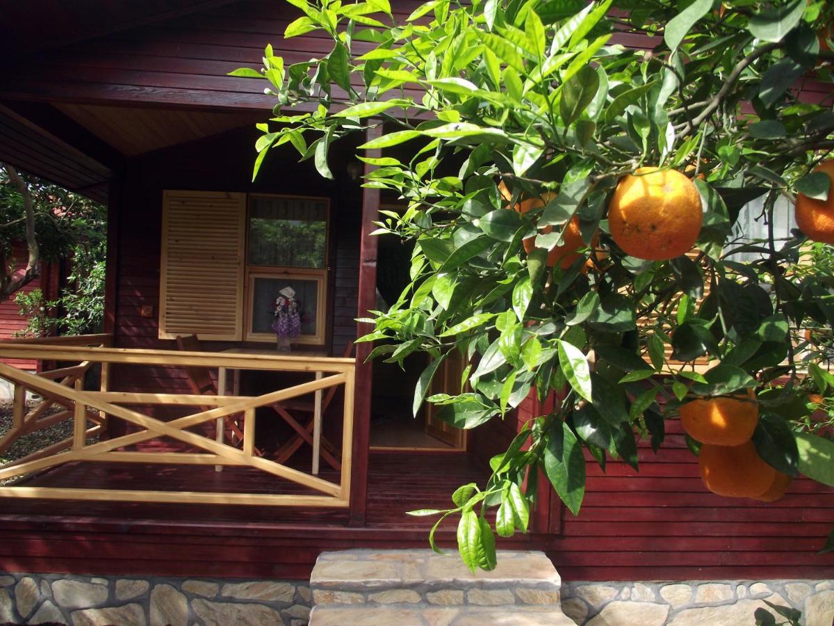 Mercan Bungalow Çıralı Exterior foto